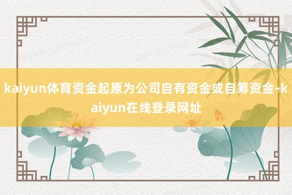 kaiyun体育资金起原为公司自有资金或自筹资金-kaiyun在线登录网址