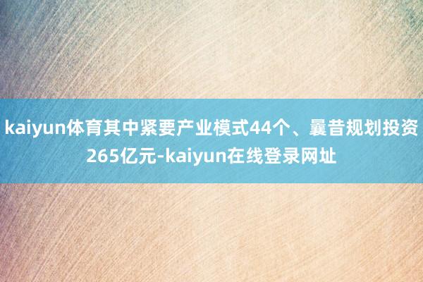 kaiyun体育其中紧要产业模式44个、曩昔规划投资265亿元-kaiyun在线登录网址