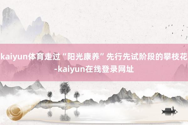 kaiyun体育走过“阳光康养”先行先试阶段的攀枝花-kaiyun在线登录网址