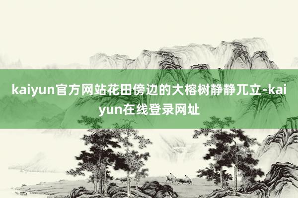 kaiyun官方网站花田傍边的大榕树静静兀立-kaiyun在线登录网址