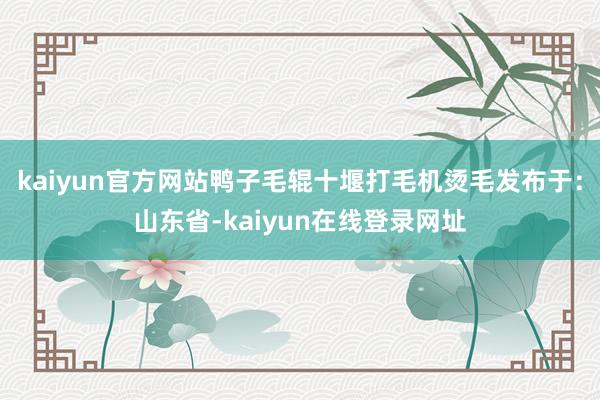 kaiyun官方网站鸭子毛辊十堰打毛机烫毛发布于：山东省-kaiyun在线登录网址