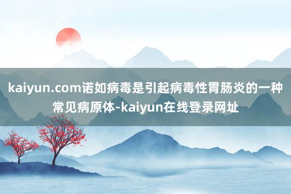 kaiyun.com诺如病毒是引起病毒性胃肠炎的一种常见病原体-kaiyun在线登录网址