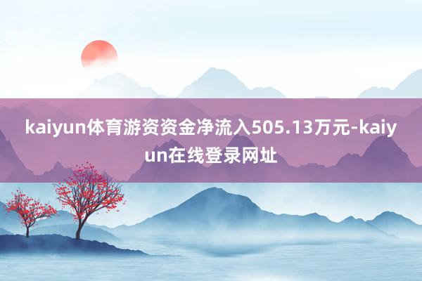 kaiyun体育游资资金净流入505.13万元-kaiyun在线登录网址