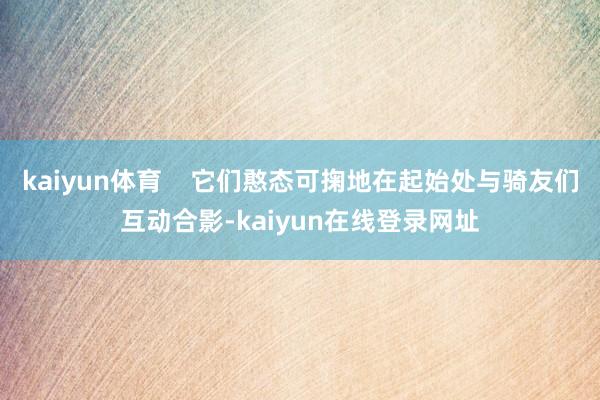 kaiyun体育    它们憨态可掬地在起始处与骑友们互动合影-kaiyun在线登录网址